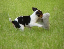 DSC02788.JPG