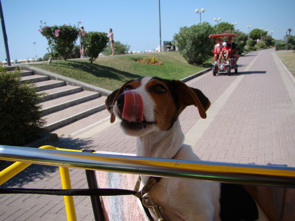 Kimy na projížďce.jpg