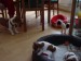DSC01940.jpg