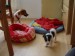 DSC01960.jpg